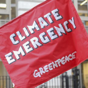 Plusieurs espèces animales en danger à cause du réchauffement climatique