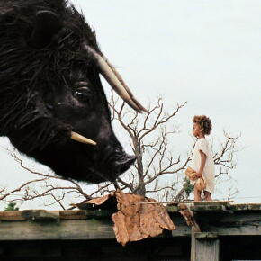 Catastrophe : « Demain, nous construirons des sanctuaires animaliers »