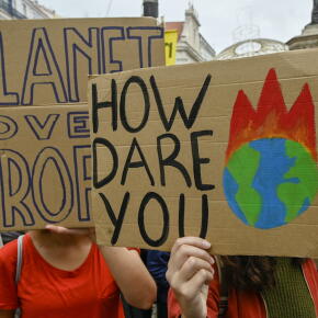 La Convention citoyenne pour le climat face à la crise écologique