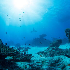 Un projet de cartographie des fonds marins avancent bien