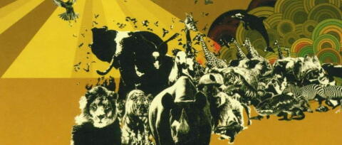 En 2003, The Quantic Soul Orchestra dans l'air du temps