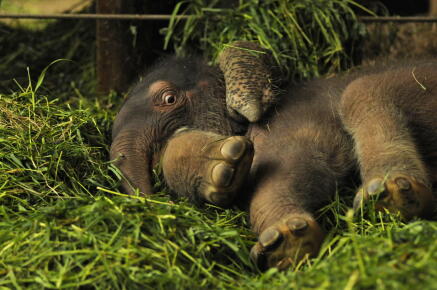 Getty images / ©ullstein bild