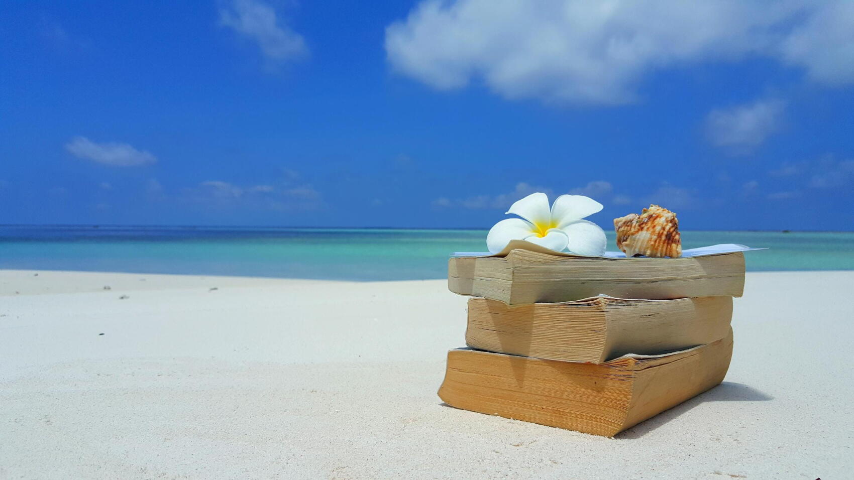 Des livres à la plage