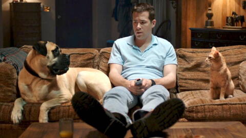 Image : The Voices, de Marjane Satrapi (2015).