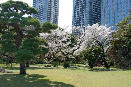 GettyImages - Frédéric Soltan