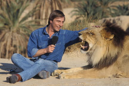 GettyImages- ©Daniel SIMON