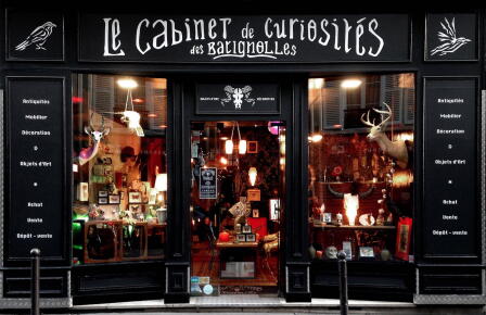 Cabinet de curiosités - ©Pinterest