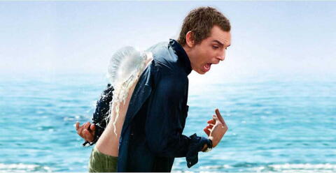 Image : Les femmes de ses rêves, de Peter & Bobby Farrelly (2007).