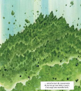 Image : La Forêt millénaire, de Jirô Taniguchi (éditions Rue de Sèvres, 2017).