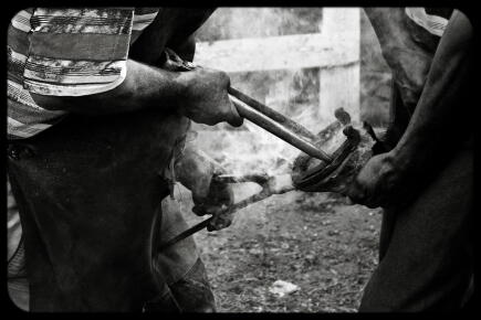 GettyImages / ©György Somló / EyeEm