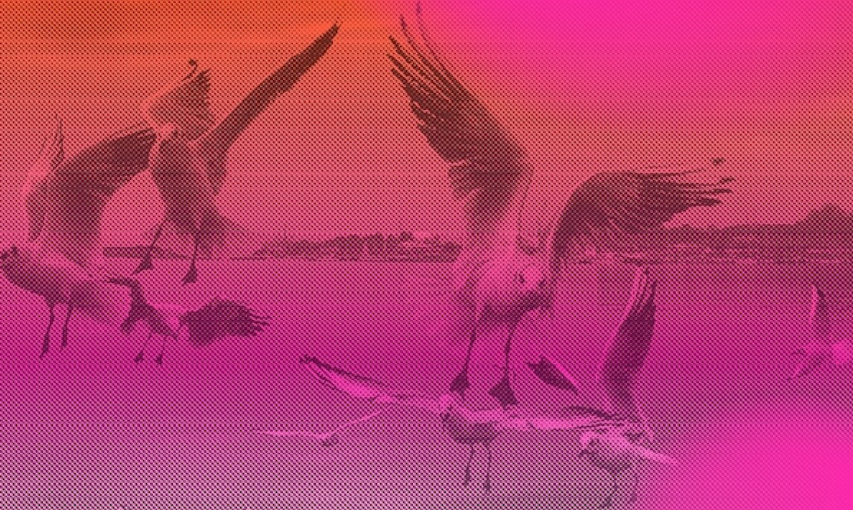 La Carène, Brest - Hiver 2021