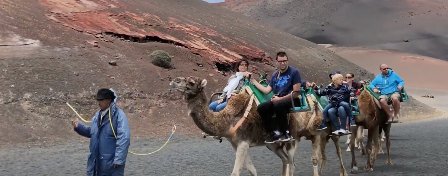 À propos de Lanzarote en général et de Michel Houellebecq en particulier