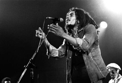 Bob Marley And The Wailers