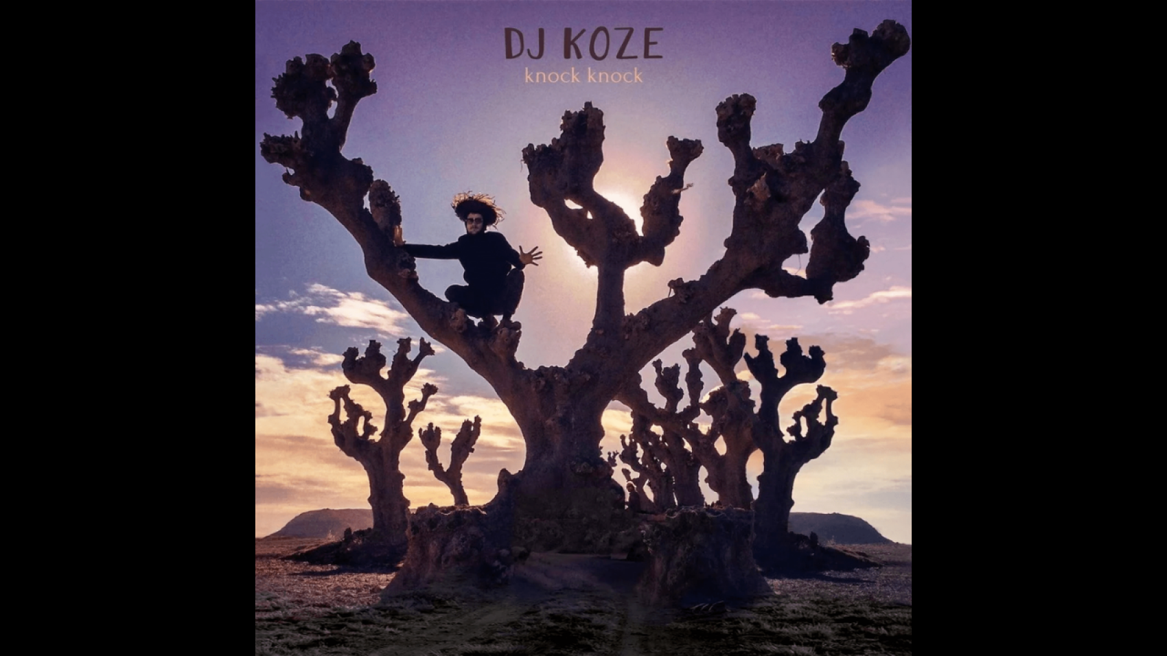 « Knock Knock » de Dj Koze - Radio Nova - Anniversaire