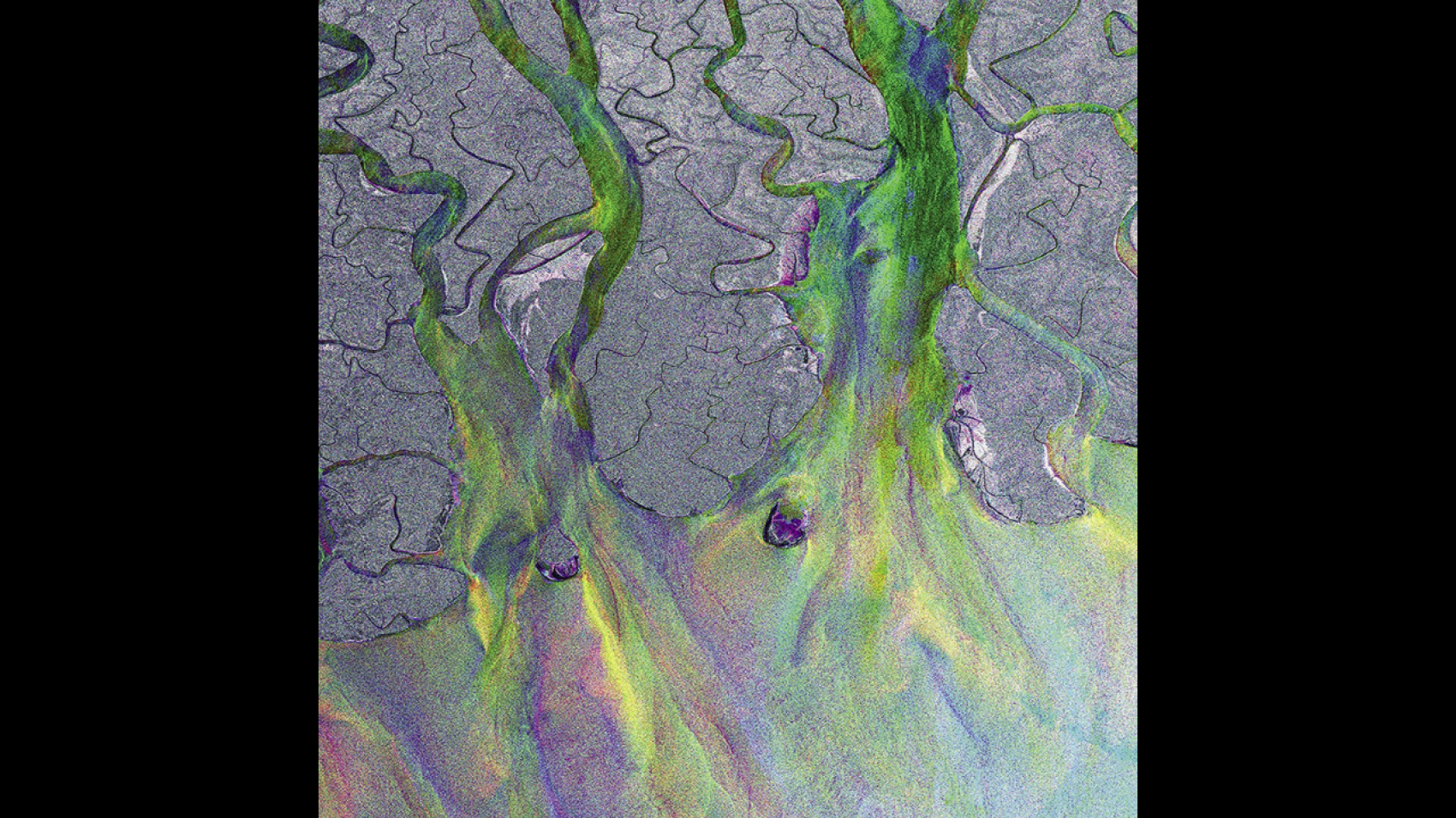 L'anniversaire du jour : "An Awesome Wave" de Alt-J