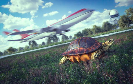 Avion-et-tortue-en-marche_Gettyimagesdenisgo