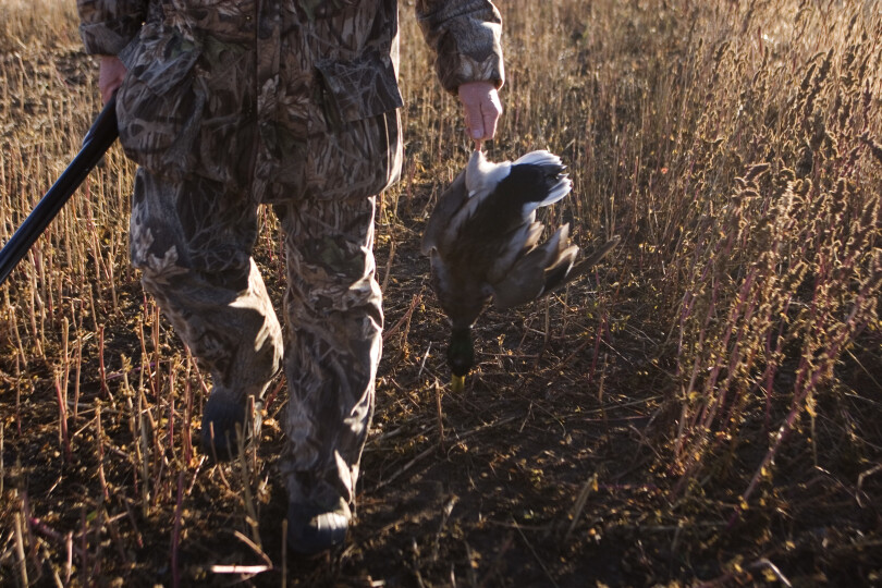 USA-North-Dakota-Early-morning-duck-hunting_GettyimagesMike-Kemp