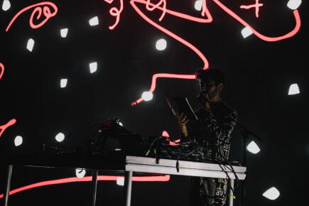 Bird Signal For Earthly Survival - Scopitone 2021 ©David Gallard-5