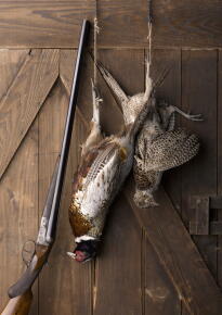 Bird-Hunting-Still-Life_Gettyimageseffrey-Coolidge