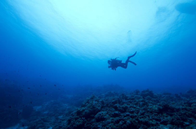 Lonely-diver-swimming-Photos_Gettyimageskampee-patisena