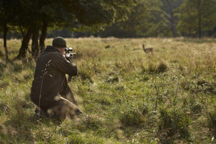 Chasse en forêt © Getty Images / Klaus Vedfelt