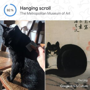 Pet Portrait©RadioNova