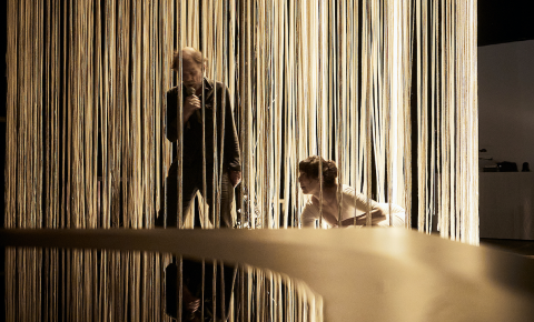 Denis Lavant théâtre