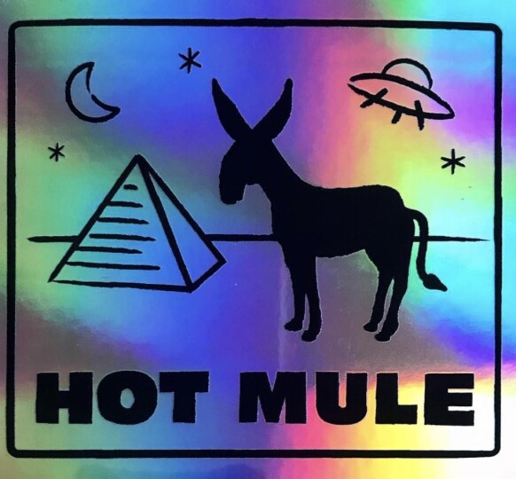 « Get a room! sur le TrAnSmEtTeUr », épisode 60 avec Hot Mule Records