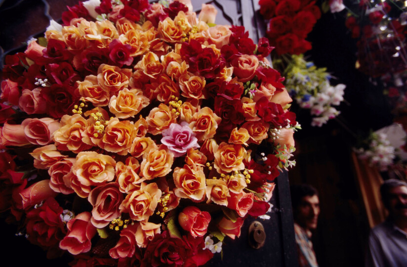 Bouquet-Of-Rose_GettyimagesVeronique-DURRUTY-Contributeur