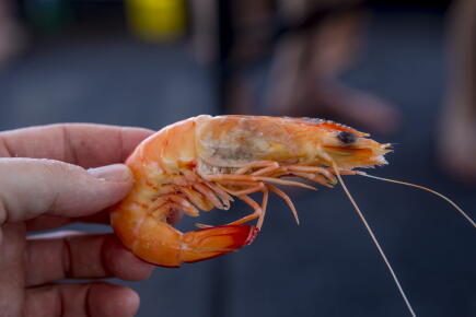 Cooked-giant-prawn_GettyimagesOnne-van-der-Wa