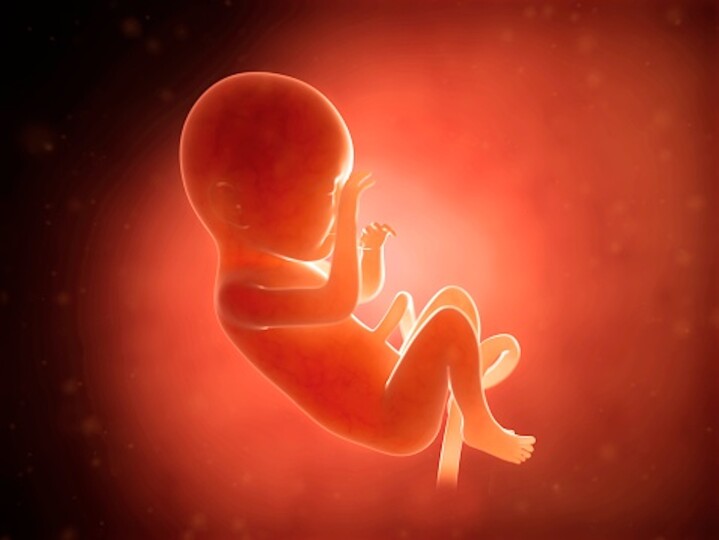 Des fœtus humains surveillés par des intelligences artificielles