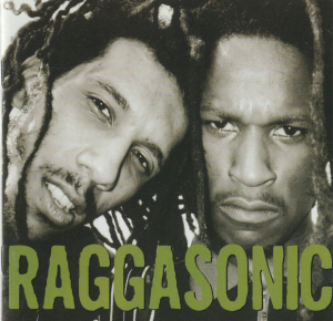 raggasonic pochette