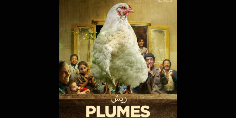 « Plumes » d’Omar El Zohairy