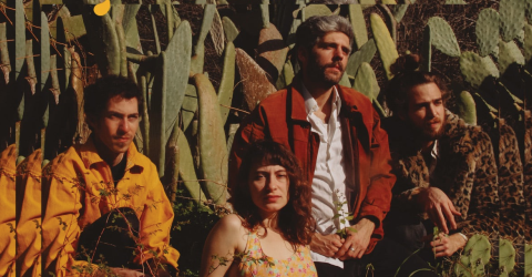 Şatellites - Şatellites (LP)