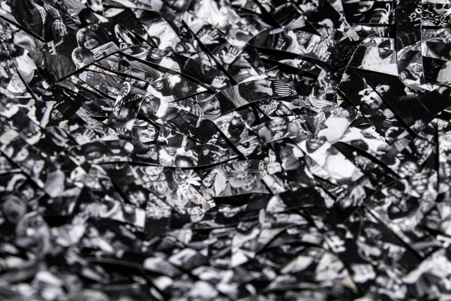 Entretien avec l’artiste vietnamien Dinh Q. Lê pour son exposition au musée du quai Branly