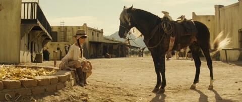 bandidas © all rights reserved