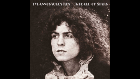 A Beard Of Stars - Radio Nova - Vitamine So