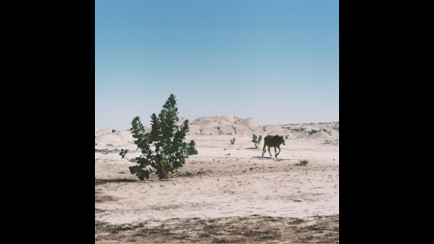 Zeid Hamdan-Radio Nova- Vitamine So