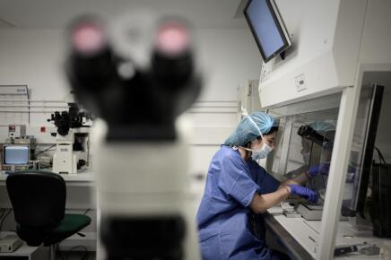 Droit d'accès aux origines en France ©Philippe Loez:AFP.