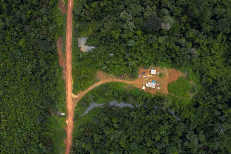 Forêt amazonienne ©MAURO PIMENTEL / AFP