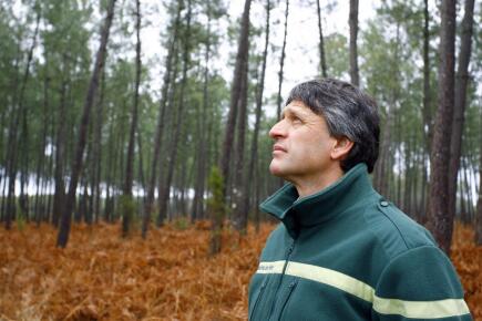 Foret-en-Gironde ©NICOLAS-TUCAT AFP.