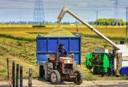 Heros-du-Nova-Jour-Hubert Cochet © STR-AFP