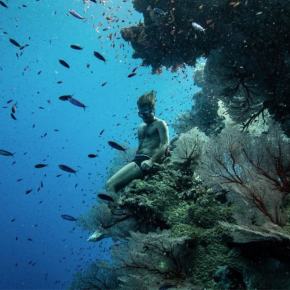 Guillaume Néry DBM © Instagram Guillaume Néry