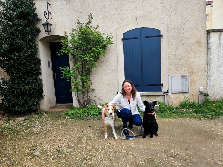 Le premier bar à chiens d'Ile-de-France va bientôt ouvrir ses portes