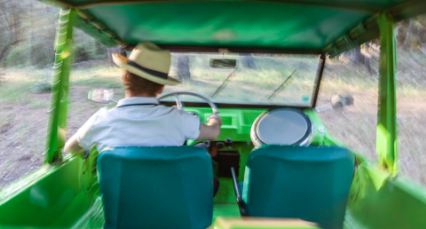 Brite la Liberté de Mohamed Lamouri