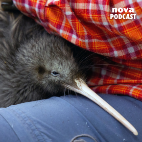 © Marty MELVILLE : AFP