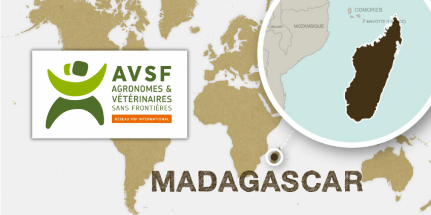 AVSF à Madagascar : comment adapter l'élevage et l'agriculture au changement climatique ?