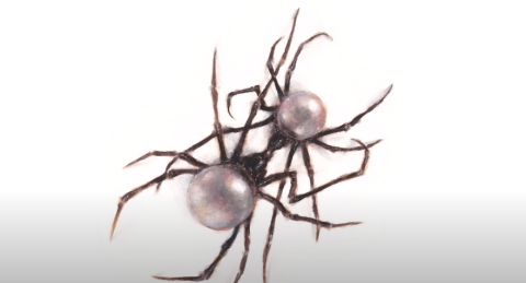 Doja Cat - Can't wait