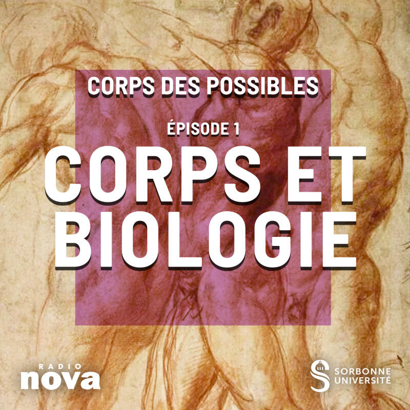 Épisode 1 : Corps et Biologie