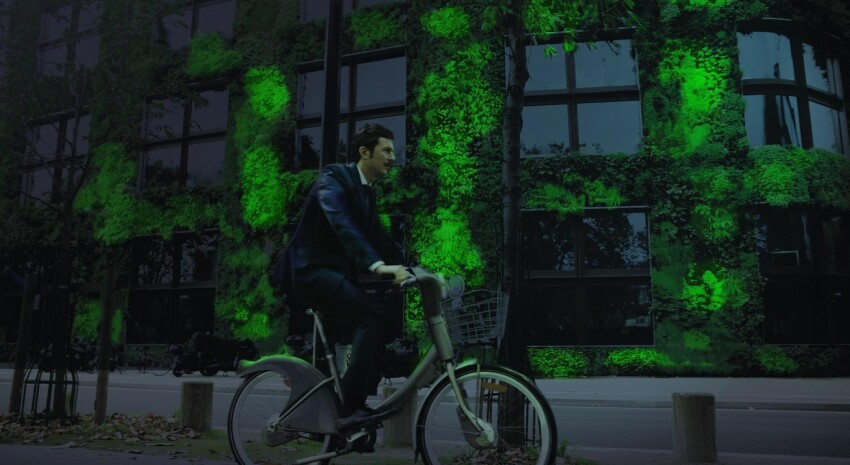 Éclairer les rues avec des plantes bioluminescentes